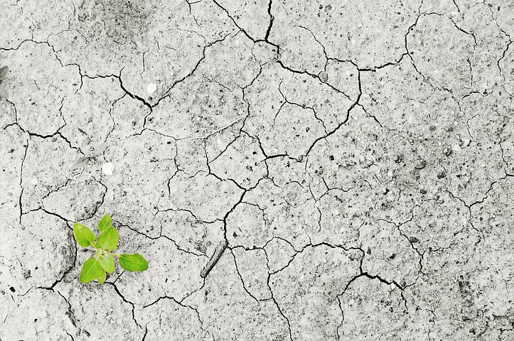 Desalination can decrease water scarcity Introduction