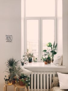 The Increase in Sustainable, Eco-Friendly New Homes