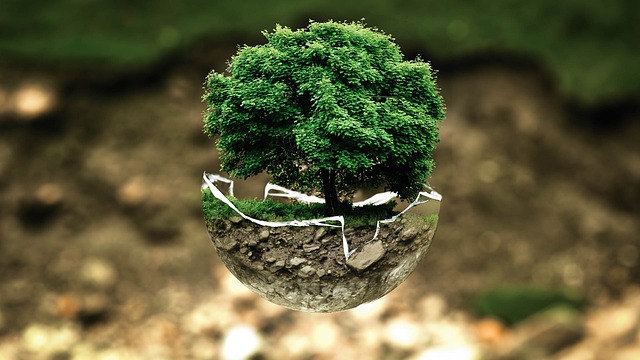 How to Make Your Environmental Organization Work More Effectively