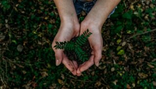 Greener Neighborhoods, Stronger Communities: The Connection Between Environmental Health and Social Equity