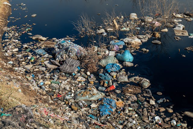 Everest’s Littering Problem: A Global Responsibility