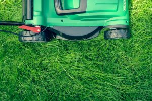 Green Lawns or Green Living, We Need To Choose