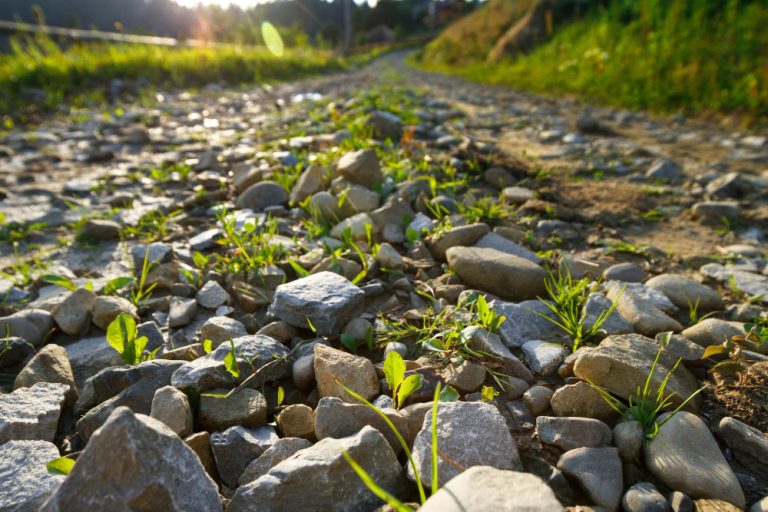 River Rock for Landscaping