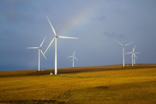 Sustainable Investing 101: A Beginner’s Guide to Ethical Financial Growth