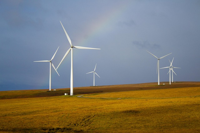 Sustainable Investing 101: A Beginner’s Guide to Ethical Financial Growth