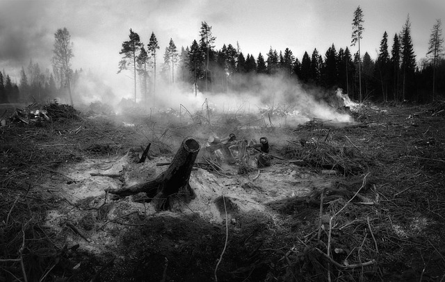 Mines Spung Wildfire
